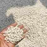 White Beans — Big Sokoto